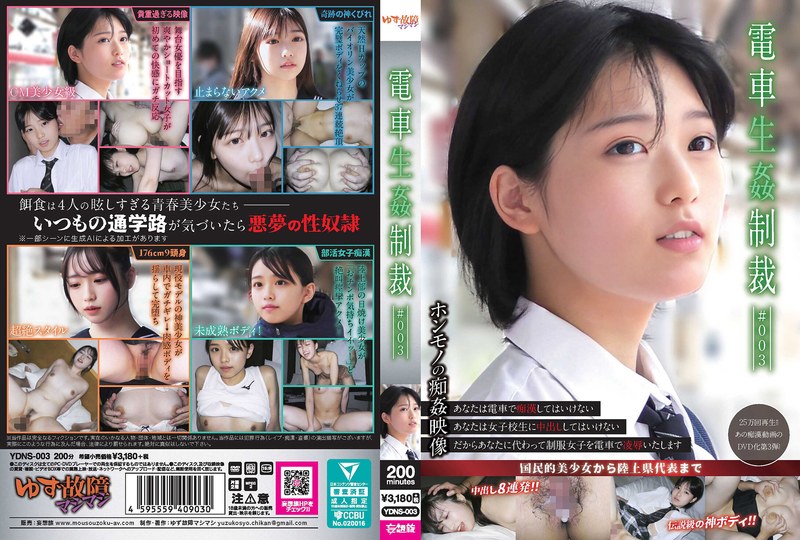 【無修正流出】電車生姦制裁 ＃003｜ydns00003