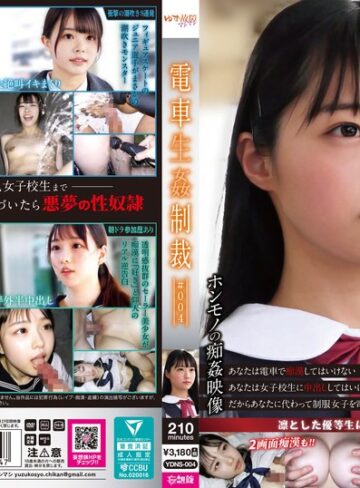 【無修正流出】電車生姦制裁 ＃004｜ydns00004
