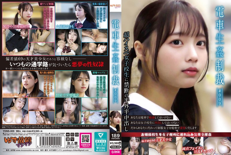 【無修正流出】電車生姦制裁 ＃009｜ydns00009